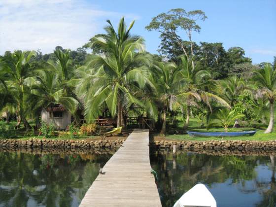 Panama Wettstein